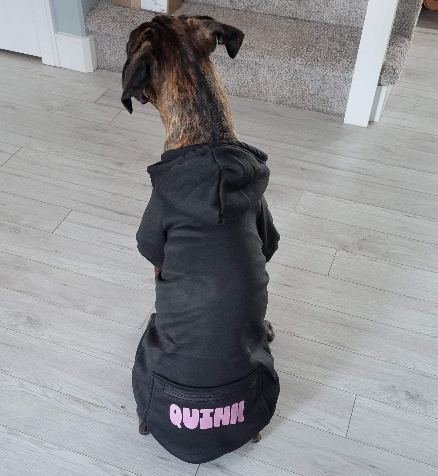 Custom Name Dog Hoodie