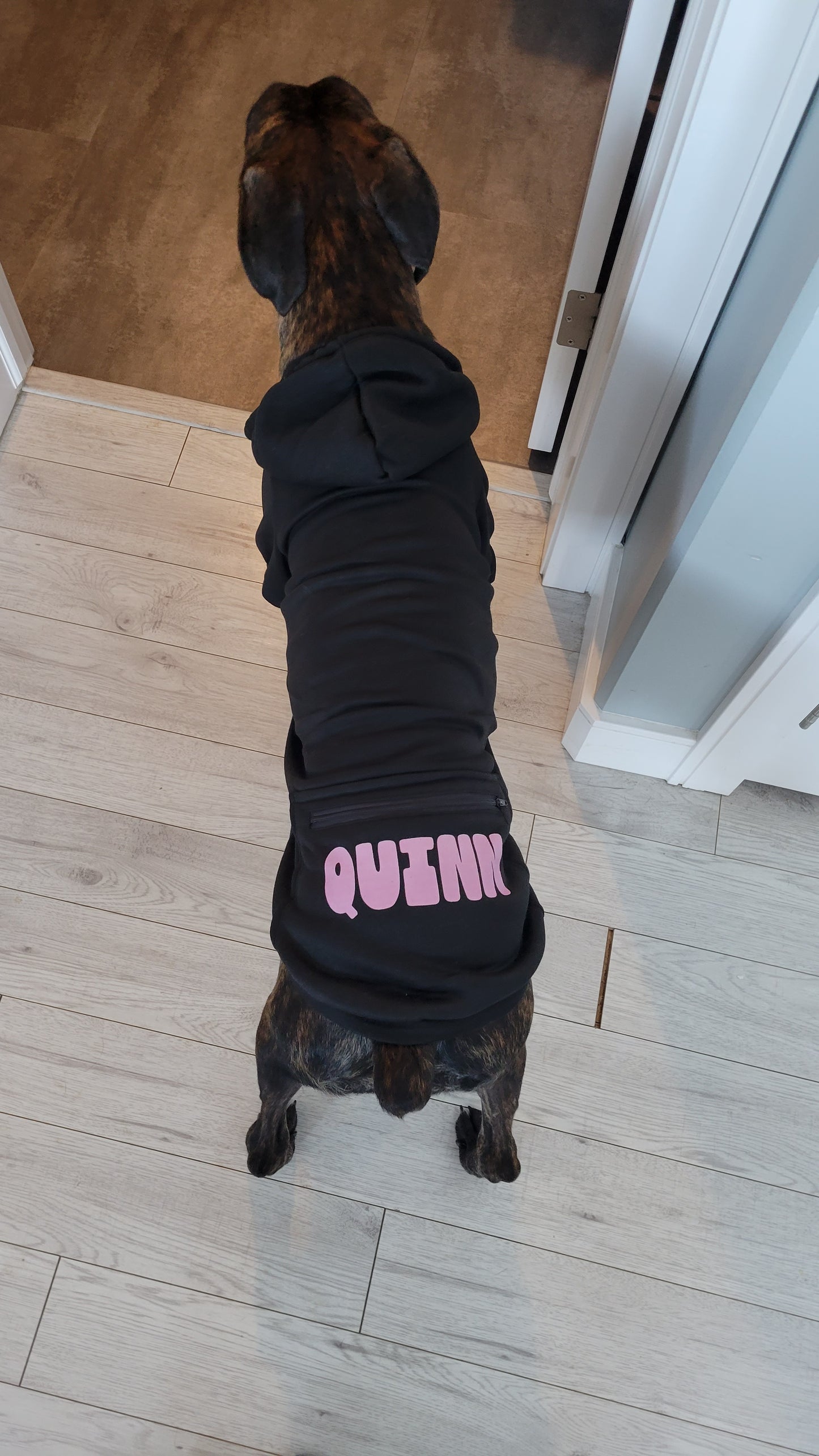 Custom Name Dog Hoodie