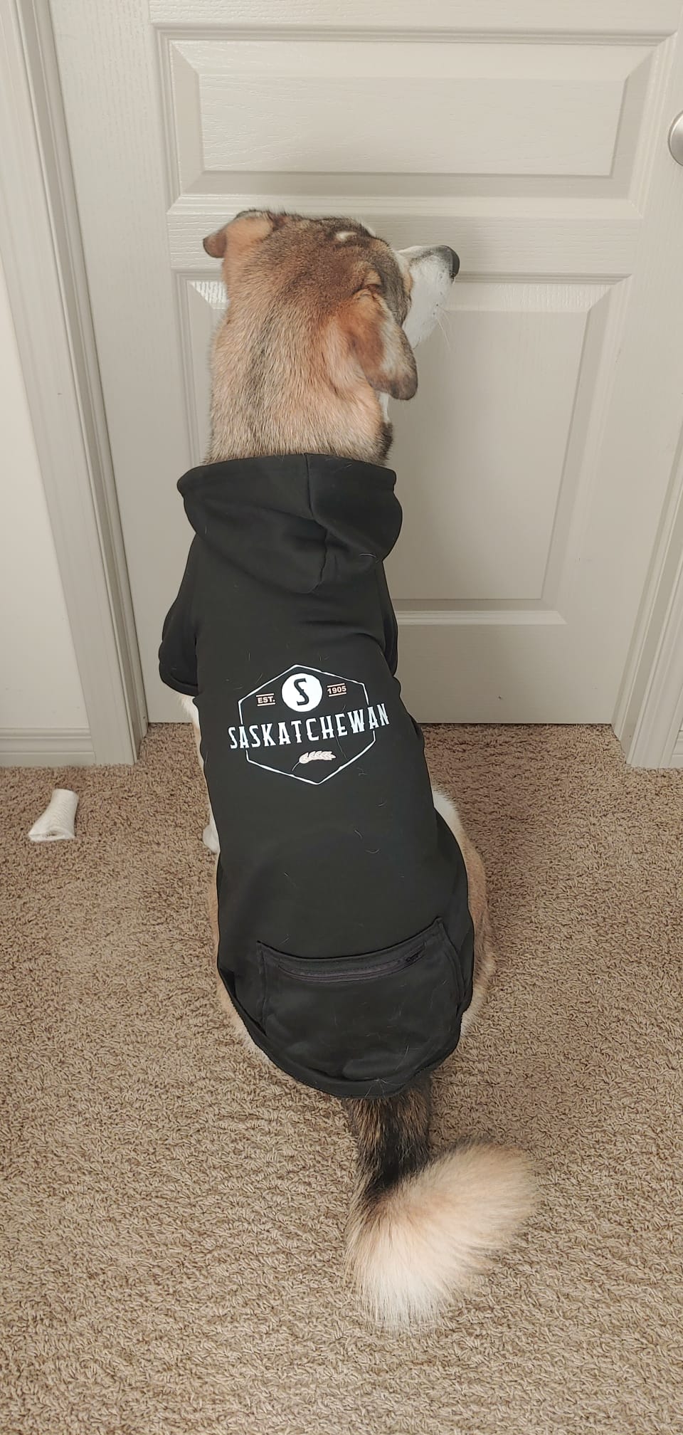 Saskatchewan Dog Hoodie