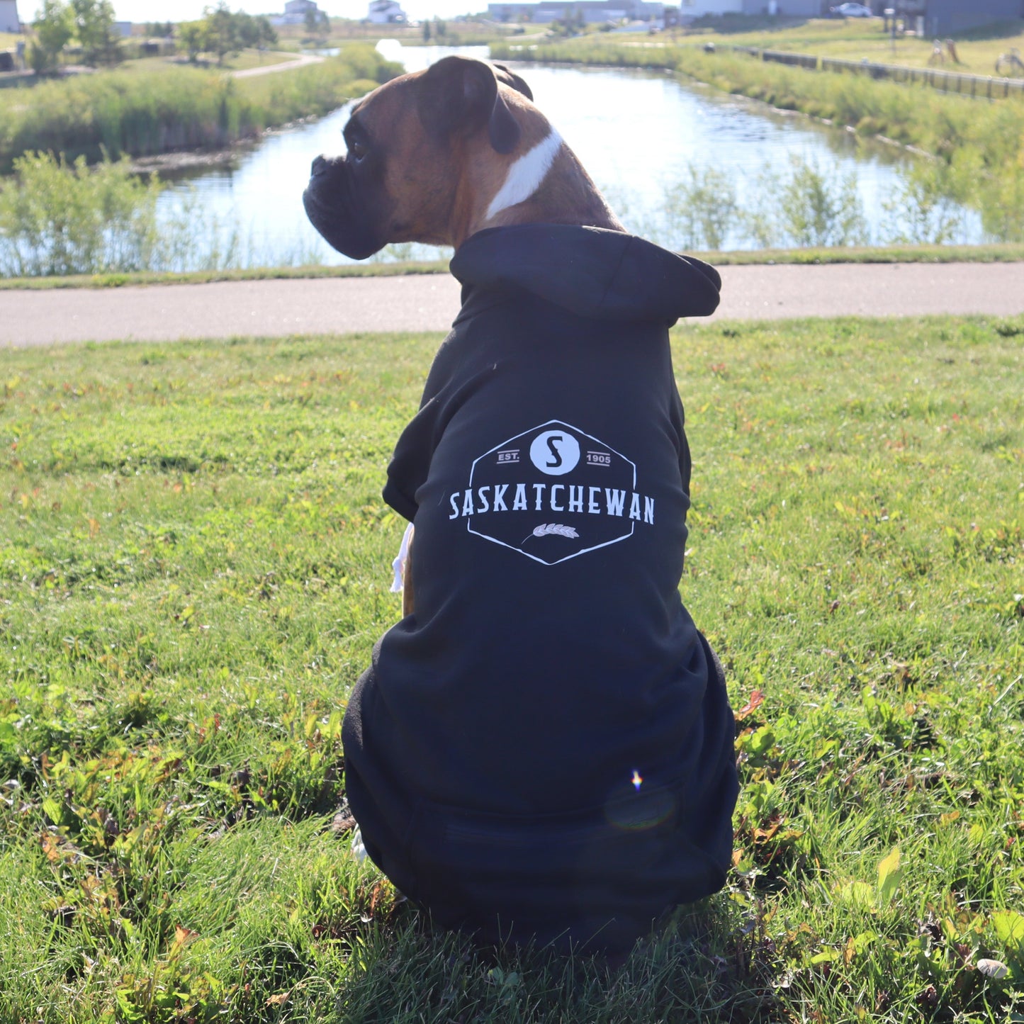 Saskatchewan Dog Hoodie