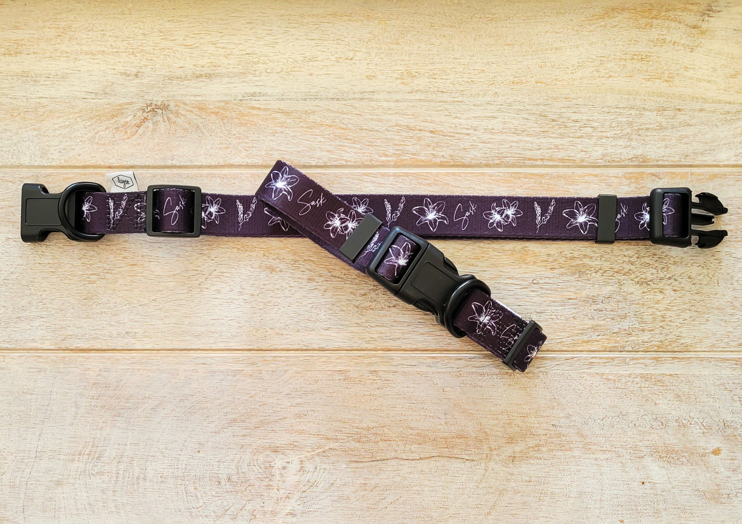 Dog Collar | Saskatchewan Dog Collar